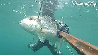 PESCASUB - DENTICIONE estivo in tre metri d'acqua  /  BIG SNAPPER in shallow water