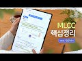 MLCC 핵심정리 with 삼성전기