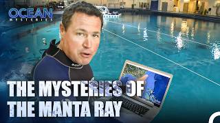 Jeff Corwin Meets The Manta Ray | Ocean Mysteries with Jeff Corwin