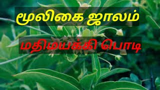 மதிமயக்கி பொடி