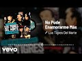 Los Tigres Del Norte - No Pude Enamorarme Más (Live / Audio)