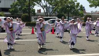 第16回 おどるんや JR和歌山駅前演舞場 縁紀゛