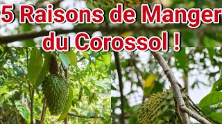 Discover Why Soursop is a Magic Fruit for Your Body!