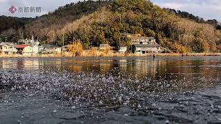 京都・深泥池が氷結（2025年2月10日　京都市北区）The Midorogaike Pond in Kita Ward, Kyoto City, has frozen over.