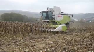 Hostovice - Slnečnica 2018 -- Claas Lexion 760 TT