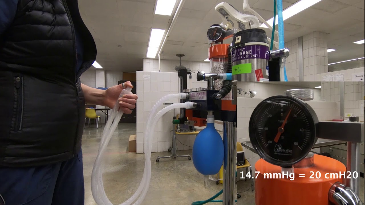 Anesthesia Leak Test At Dennis Raleigh Blog