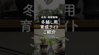 【植物育成ライト３種紹介】冬越しの準備万端！ #育成ライト