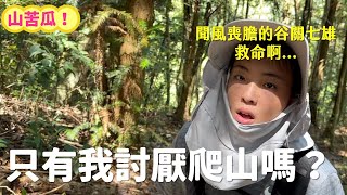 最討厭爬山！！直接挑戰聞風喪膽『谷關七雄』有熊有蜜蜂救命啊啊啊