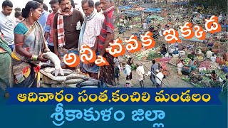 ఆదివారం సంత | మఖరాంపురం గ్రామం | కంచిలి మండలం | శ్రీకాకుళం జిల్లా | ఆంధ్రప్రదేశ్