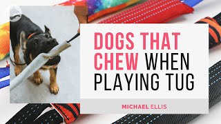 Dogs That Chew When Playing Tug - with Michael Ellis