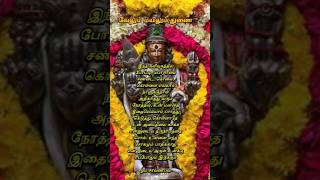 முருகன் வாக்கு #ஓம் முருகா போற்றி #Murugan  Quotes#Tamil Kadavul Murugan#Bhakthi Shorts#viral