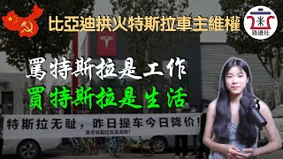 特斯拉中國市場降價，老車主“0元購”維權鬧事，比亞迪背後拱火，反而搬起石頭砸自己的腳！｜米國路邊社 [20230109#364]