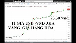 Cách xem biểu đồ tỉ GIÁ USD VND  ,giá VÀNG, giá hàng hóa khác...