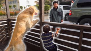 大型犬と育った一歳児のお出迎えがワンコ過ぎるw