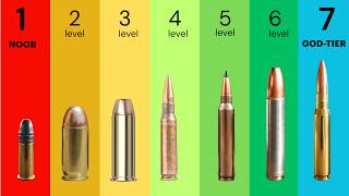 7 Levels of Gun Cartridges Explained