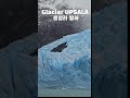 glaciar upsala 아르헨티나 제일 큰 빙하 patagonia argentina 파타고니아