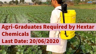 Agriculture Graduates Required by Hextar Chemicals