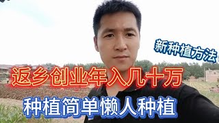 乡村振兴农民有福气了，年轻人返乡创业商机很大，带你进入现场