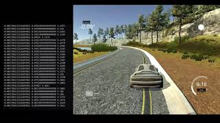 Self Driving Car Simulation in python