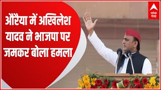 UP Nikay Chunav 2023 : प्रचार करने Auraiya के दिबियापुर पहुंचे Akhilesh Yadav, BJP पर जमकर बोला हमला