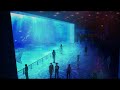 asmr 주술회전 2기 🐠 오키나와의 수족관 성장체 아마나이 리코의 마지막 시간 jujutsu kaisen aquarium ambience 呪術廻戦懐玉・玉折