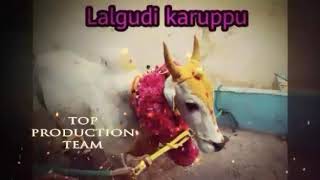 Lalgudi LGS