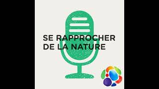 Insectes, plantes et produits sauvages au menu… ça vous dit? (1/4)