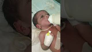 cute 😍 beautiful baby 😍 feeding milk 🍼#viral #trending #youtubeshorts #cutebaby #feed #milk #shorts