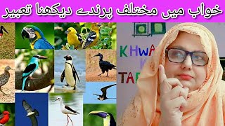 Khwab me mukhtalif parinda dekhne ki tabeer | diferent birds dream | خواب میں پرندے دیکھنا کی تعبیر