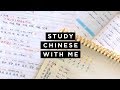 跟南非人一起学习中文 How I learn Chinese vocabulary 📚 #StudyWithMe