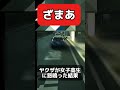 【放送事故】地上波じゃ絶対放送できない事故映像 あおり運転 警察 コント 衝撃映像