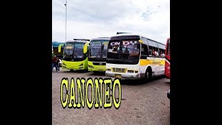 Cañoneo Liner / Cindy - Uling Naga and Lutopan Toledo road