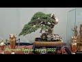 Pameran Bonsai Jepara 2022 Di Kelas Bintang