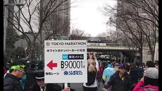 2018東京マラソン　新宿都庁　スタート前　Tokyo Marathon Start