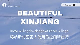 航拍新疆 Flying over Xinjiang | 喀纳斯村图瓦人使用马拉爬犁出行 Horse pulling the sledge at Kanas Village