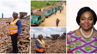 12 000 000$/an Yemisi Iranloye est riche grâce au manioc.