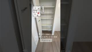 《Room Tour》ネット＆駐車場1台無料の1LDK賃貸アパート！【セプトガーデン井野町】 #shorts #高崎市 #ルームツアー