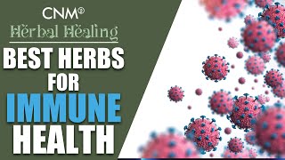 The Best HERBS for IMMUNE HEALTH!