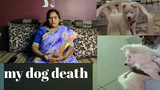 my dog died || నా కుక్క చనిపోయింది