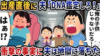 出産直後に夫から「DNA鑑定しろ！」と怒鳴られた→衝撃の事実に夫は地獄に落ちた【2ch修羅場スレ】【2ch スカッと】