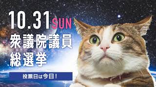 第49回衆議院議員総選挙啓発動画　投票日当日用　宇宙猫「大分の明日」篇15秒（大分県選挙管理委員会）