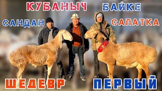 Атактуу ШЕДЕВР, ПЕРВЫЙ менен КУБАНЫЧ ага Селекцияны баштады 🔥 Сандан сапатка 💯 Элита токтулар 👍🏻