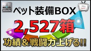 【リネレボ109ch通信#17】ペット装備で功績上げ!! 2,500箱開封して上がった戦闘力は？