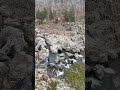 billion year old rocks nature rocks america kea water travel hiking shutin