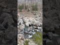 billion year old rocks nature rocks america kea water travel hiking shutin