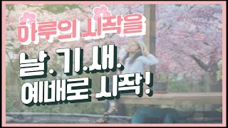 4.13(화)날.기.새_하나님의 능력으로 우리를 보호하십니다(출 9:1~12)