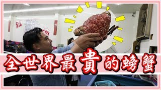 #價值一萬元台幣螃蟹！真的吃起來很美味嗎？【老婆】