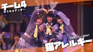 [ MIX ] 猫アレルギー || Neko Allergy - AKB48 [チーム4 Ver.]