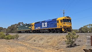 D736V PN light engine run (BL30, G520), Gheringhap to Murtoa, 1255, 29/1/25, Stawell East VIC l