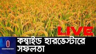 সব শংকা কাটিয়ে ধান ঘরে তুললো হাওরবাসী || #Kishoreganj Paddy